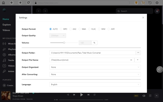 set output preferences on pazu tidal converter