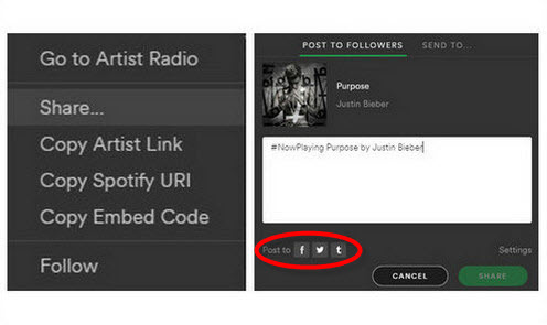 share spotify music vis social channel