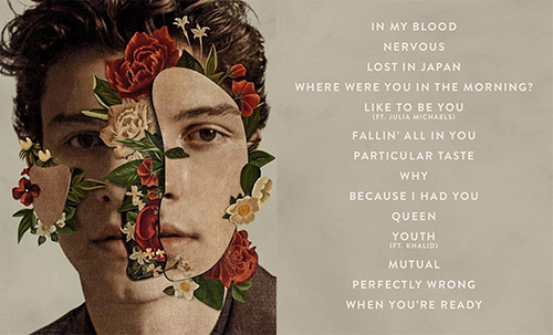 shawn mendes free download