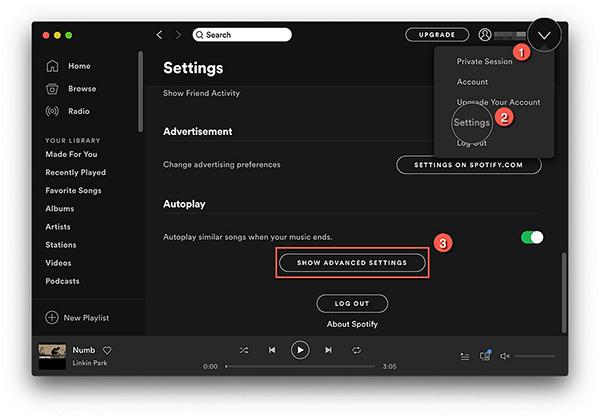 show advanced settings in spotify