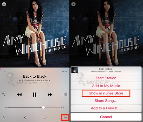 show itunes store on iphone music app