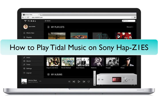 sony hap z1es tidal