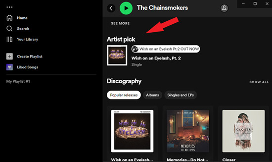 spotify artist pick
