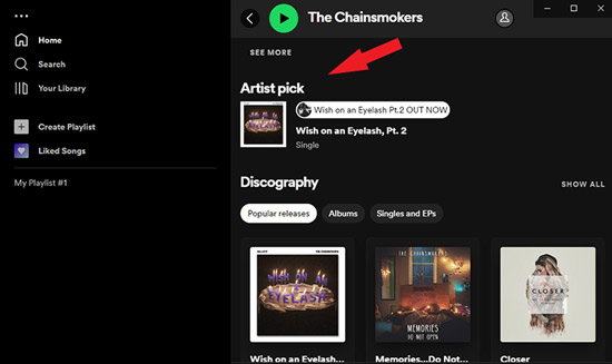 spotify artist pick