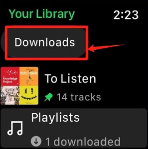 locate spotify downloads on apple watch for playing offline