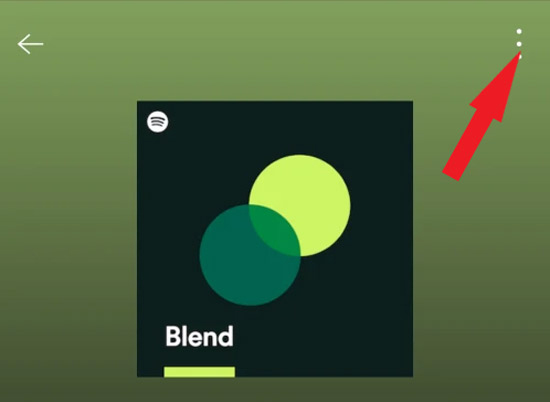 leave spotify blend