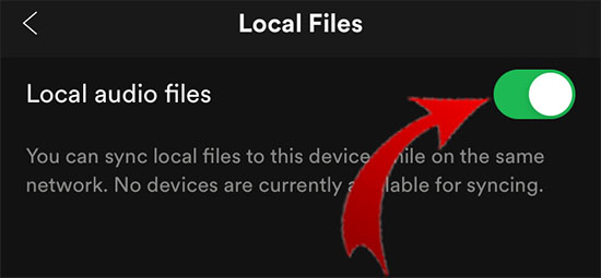 turn on show local files option on spotify app