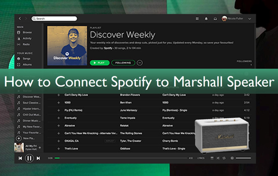 connect spotify to marshall speaker