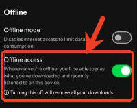 enable offline access to get spotify offline backup android