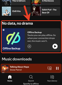 find spotify offline backup playlist on home feed