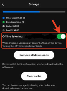 turn on offline listening to use spotify offline backup ios