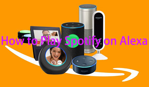 How to Play Spotify on Alexa Devices? Solved!