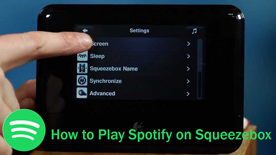 play spotify on squeezebox