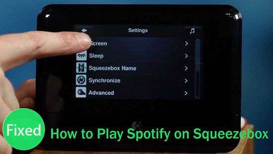 play spotify on squeezebox