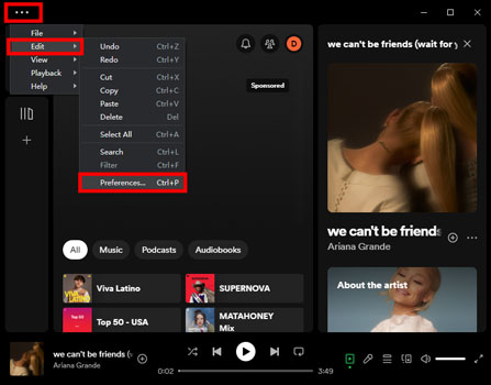 go to spotify preferences