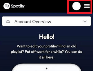 spotify premium account overview android