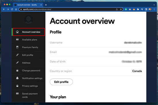 spotify premium account overview windows