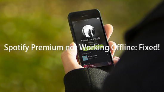 fix spotify premium not working offline