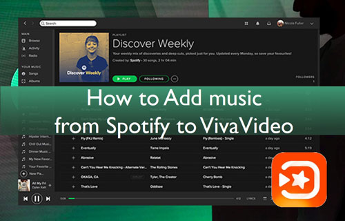 spotify to vivavideo