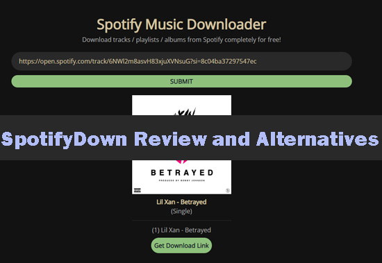 spotifydown spotify downloader review