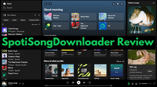 spotisongdownloader review