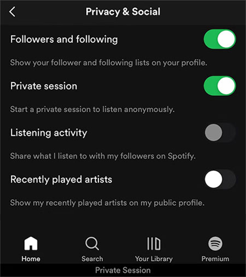 do private session on spotify mobile