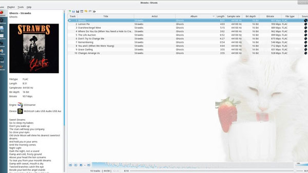 strawberry music player