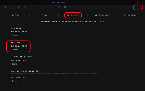connect audirvana and tidal