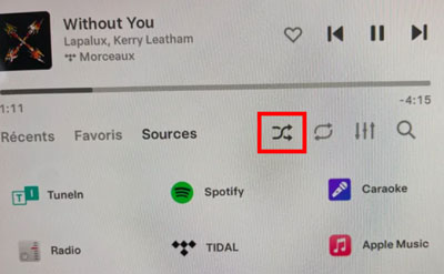 shuffle tidal on tesla