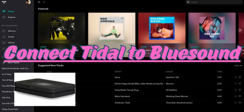 get bluesound tidal connect