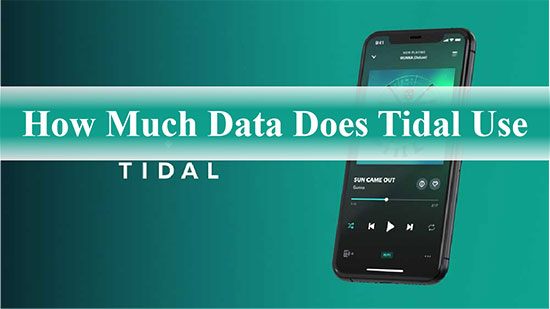 tidal data usage