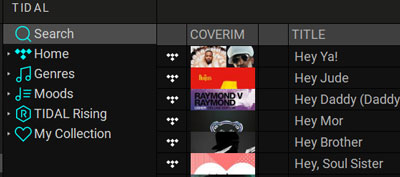 tidal music on djuced