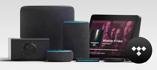 play tidal on amazon echo