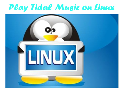 play tidal on linux