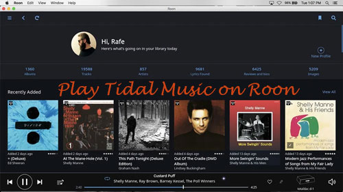 roon tidal connect