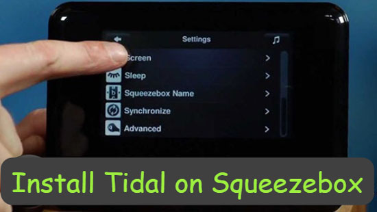 install tidal on squeezebox