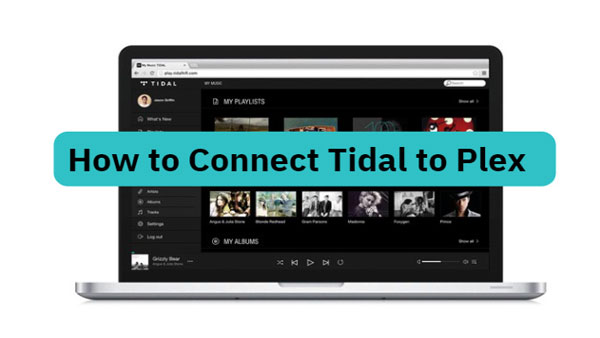 add tidal tracks to plex