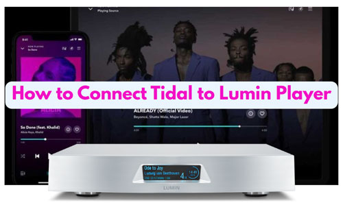 connect tidal to lumin player