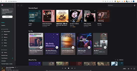 tidal web player interface
