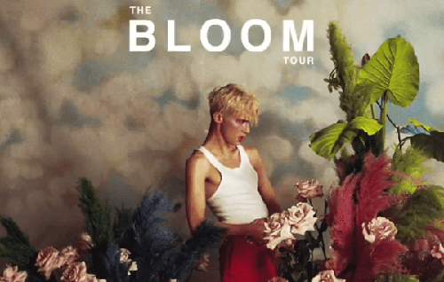 bloom full m3 download