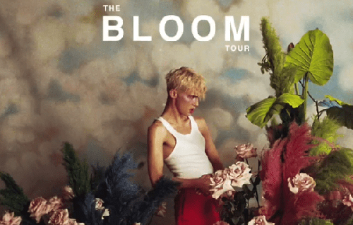 bloom full m3 download