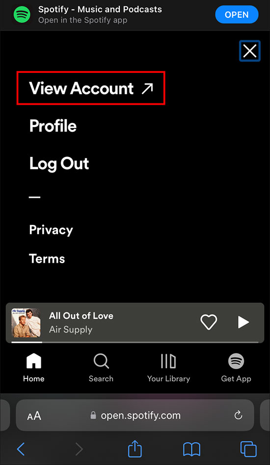 view account spotify mobile