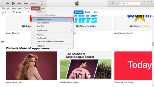 view my account on itunes