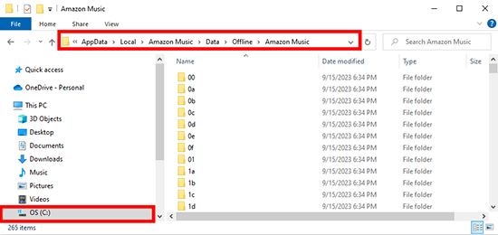 where do amazon music downloads go on pc