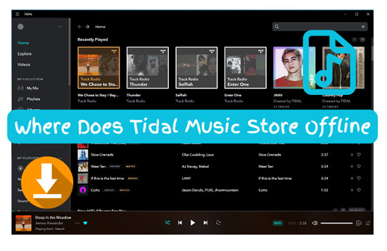 where does tidal music store