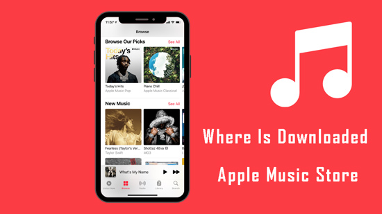 where is downloaded apple music store