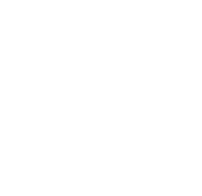 manage spotify music library