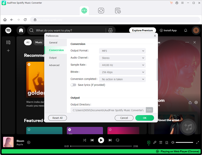 reset output format for spotify music