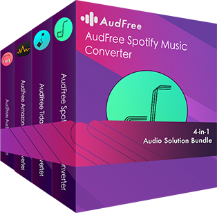 4-in-1 audio converter month bundle