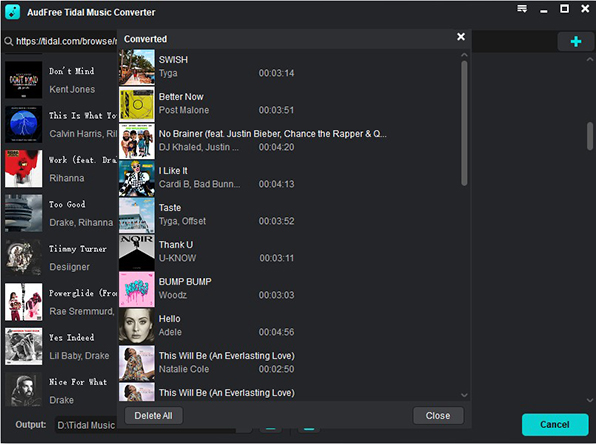 convert tidal music for activo ct10